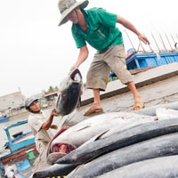 Đầu nậu bắt chẹt ngư dân