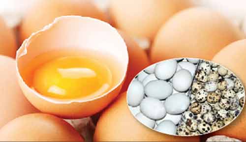 Ăn trứng nào tốt cho sức khỏe?, An toàn thực phẩm, Sức khỏe đời sống, Trung nao tot, trung vit, trung cut, trung ga, trung chim, dinh duong, duong chat, pha trien tri nao, tre nho, tre em, suc khoe, bao.