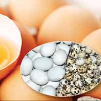 Ăn trứng nào tốt cho sức khỏe?