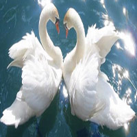 Đôrêmon chế: Take me to your heart