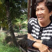 Khu vườn tự cháy ở Bến Tre