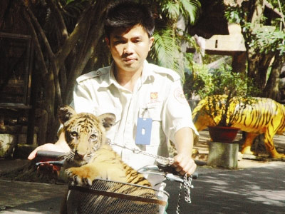 Ở nơi hổ đẻ sòn sòn, Tin tức trong ngày, ho, dong vat quy hiem, vooc, ha ma sinh con, vuon thu dai nam, ho dong duong, bao, tin tuc, tin hot, tin hay