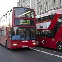 Xe bus Olympic 2012 cán chết người