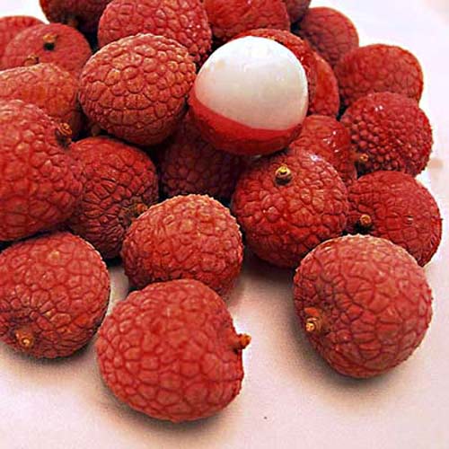Top 50 trái cây nổi tiếng nhất Việt Nam - 3