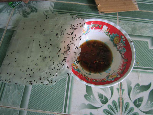 6 con không nuôi nổi mẹ già, Tin tức trong ngày, me gia, ba gia co doc, benh tat, con nuoi me, con khong nuoi me, bao, tin tuc, tin hot, tin hay
