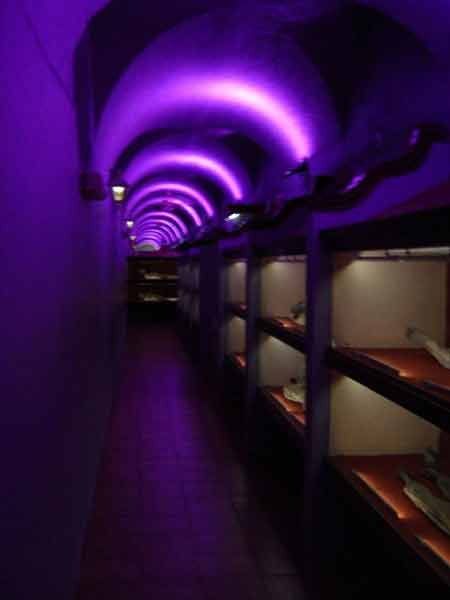 Thăm bảo tàng xác ướp kì lạ ở Mexico - 3