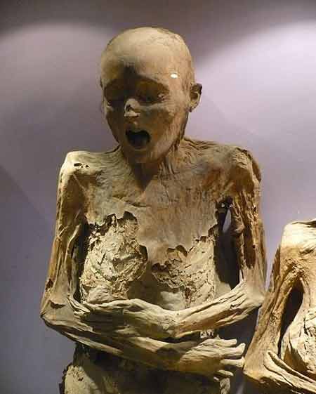 Thăm bảo tàng xác ướp kì lạ ở Mexico - 7
