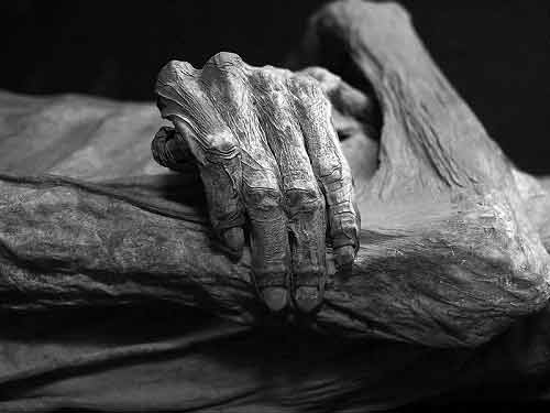Thăm bảo tàng xác ướp kì lạ ở Mexico - 8