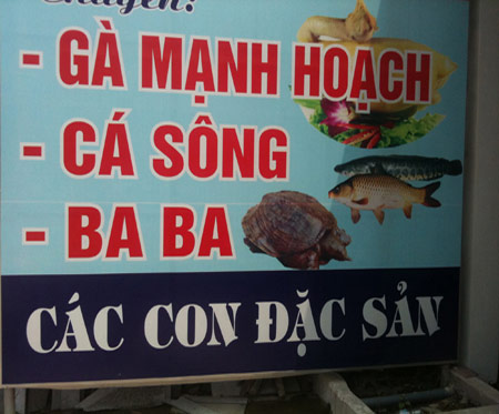 Những hình ảnh chỉ có ở Việt Nam (96) - 5