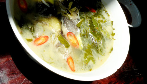Hiếm như cá sơn gà - 2