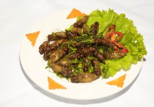 Về MIỀN TÂY ăn cá LINH nhé Ae ... Mời Ae thưởng thức ... ! - 2