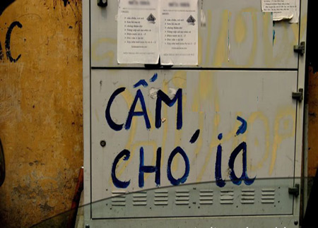 Những hình ảnh chỉ có ở Việt Nam (115) - 7