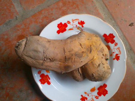 Những hình ảnh chỉ có ở Việt Nam (115) - 2