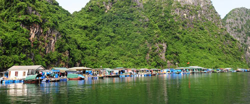 Thăm làng chài đẹp nhất thế giới ở vịnh Hạ Long - 2