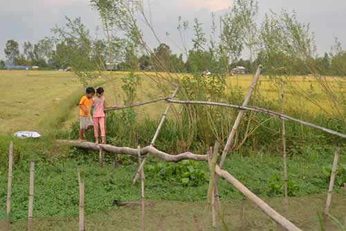 Khám phá những cây cầu khỉ cuối cùng ở miền Tây - 2