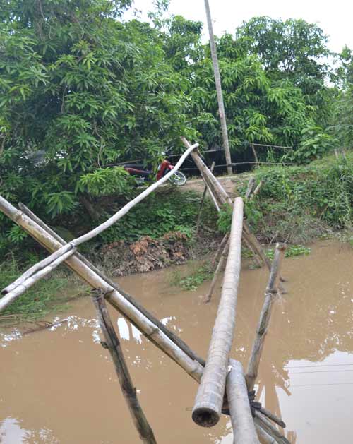 Khám phá những cây cầu khỉ cuối cùng ở miền Tây - 4