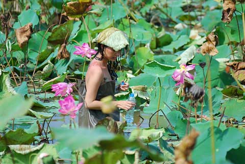 'Cận cảnh' Đỗ Hải Yến mình trần tắm ao sen - 5