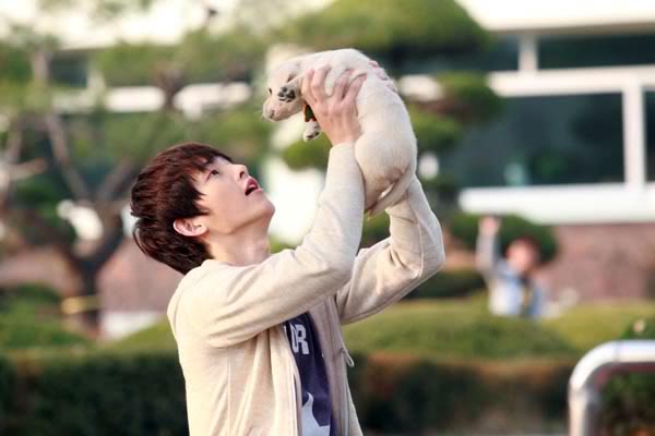 Cuộc phiêu lưu kỳ thú của cún con siêu quậy, Phim, Cun con sieu quay, Lotte Cinema, Han Quoc, Hearty Paws, Seong Dong Il, Song Jung Ki, Lee Jeong Cheol