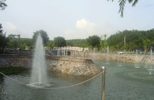 http://anh.24h.com.vn/upload/4-2010/images/2010-11-10/1289358279-huyet-mo28.jpg
