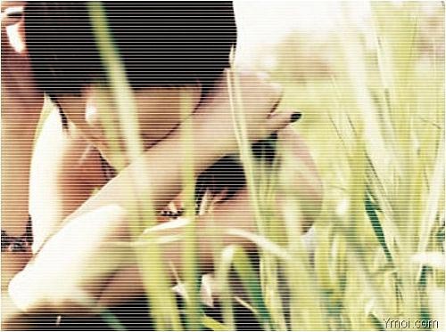 Thơ tình: Xin lỗi tình yêu - 1