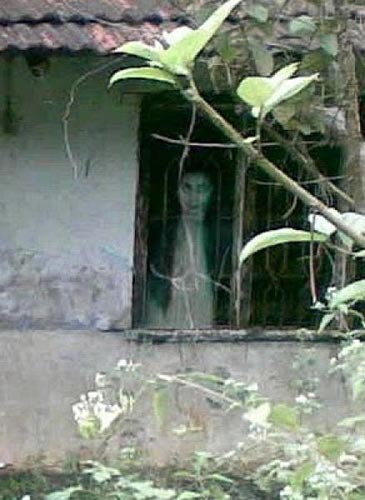 Hãi hùng những bức ảnh có "ma" - 14