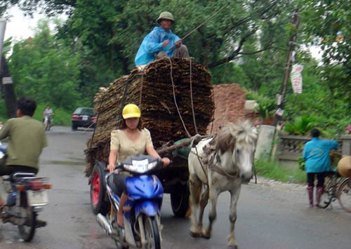 Những chuyến xe “xiếc” giữa thủ đô - 3