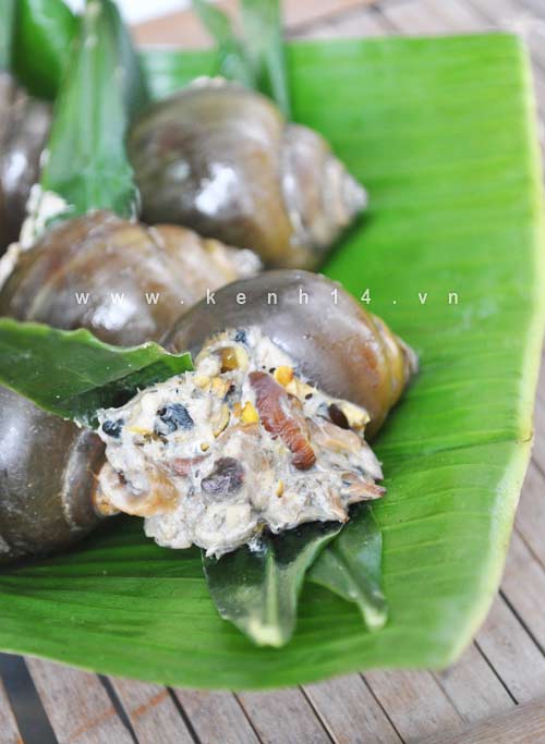 Ốc hấp lá gừng thơm ngon - 15