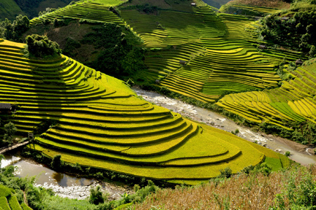 Chiêm ngưỡng những ruộng bậc thang đẹp nhất Tây Bắc - 2