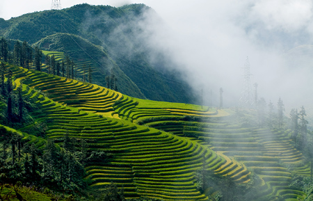 Chiêm ngưỡng những ruộng bậc thang đẹp nhất Tây Bắc - 8
