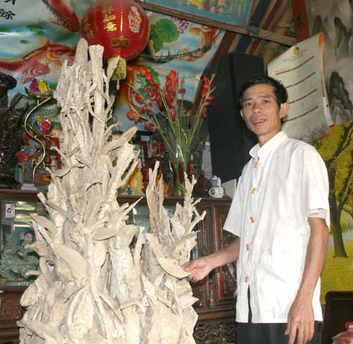 "Săn" được gỗ hóa thạch giá 30 tỷ đồng - 1