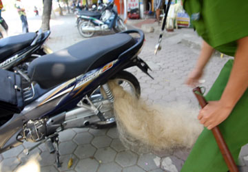 Quăng lưới bắt người vi phạm giao thông - 1