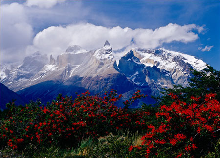 Vườn quốc gia Torres del Paine, Chile - 2