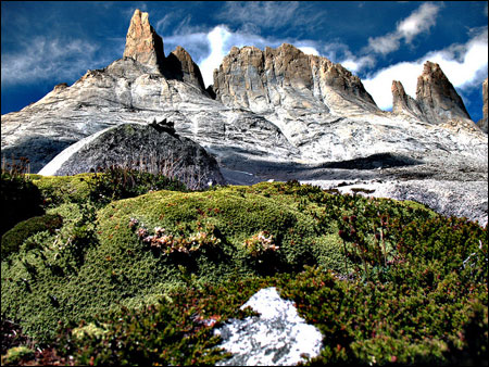 Vườn quốc gia Torres del Paine, Chile - 5