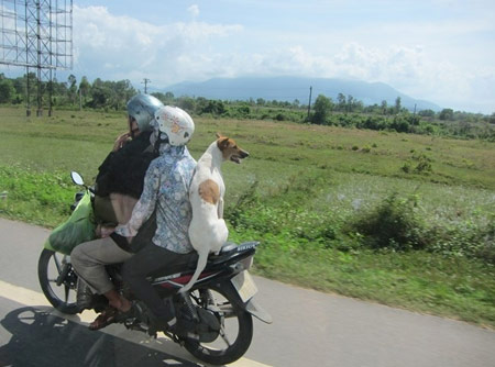 Những hình ảnh chỉ có ở Việt Nam (131) - 2