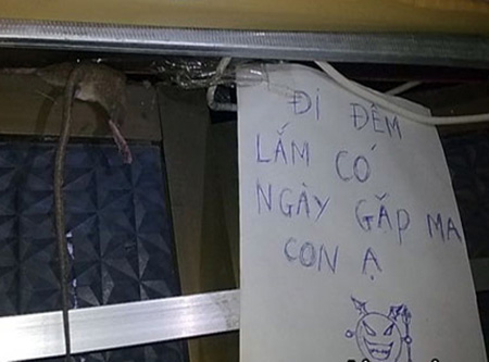 Những hình ảnh chỉ có ở Việt Nam (131) - 9