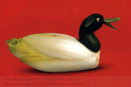 3650 hình ảnh đi cùng năm tháng (19) - 4