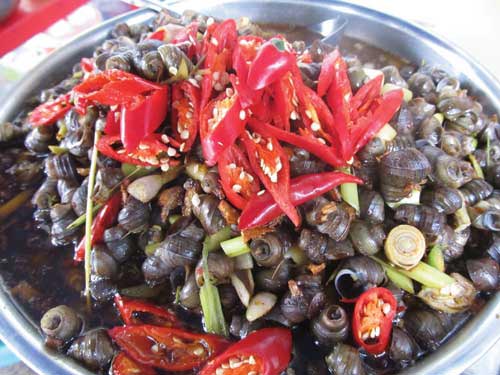 Cay xè ốc hút - 1