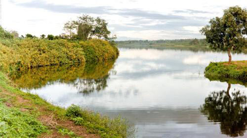 Đến Pleiku vào mùa dã quỳ - 3