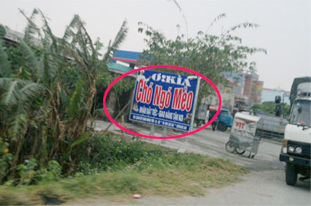 Những hình ảnh chỉ có ở Việt Nam (142) - 6