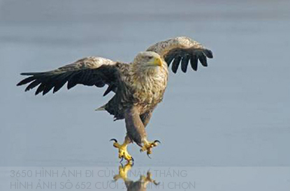 3650 hình ảnh đi cùng năm tháng (66) - 1