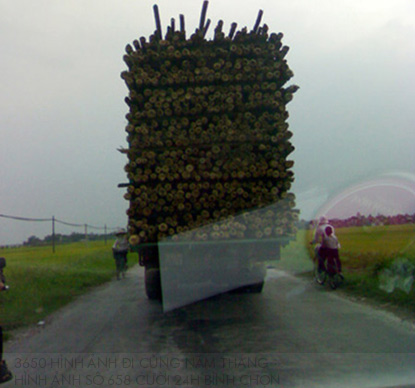3650 hình ảnh đi cùng năm tháng (66) - 7
