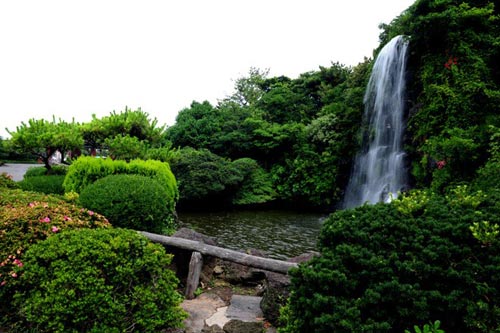 Một vòng bảo tàng thiên nhiên trên đảo Jeju - 5