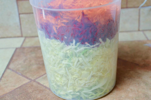Cách làm bắp cải muối chua với củ cải đường - 2