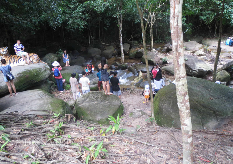 Xuyên rừng khám phá suối Tranh Phú Quốc đẹp như mơ - 4