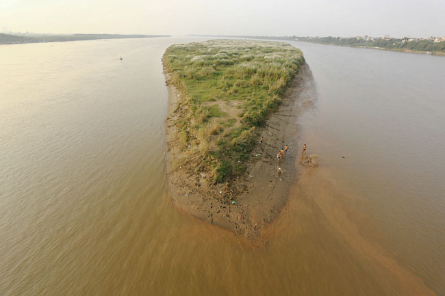 Ảnh: Mùa cỏ lau thơ mộng dưới chân cầu Long Biên - 6