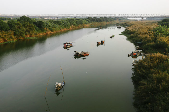 Ảnh: Mùa cỏ lau thơ mộng dưới chân cầu Long Biên - 8