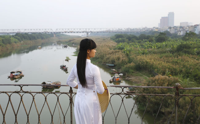 Ảnh: Mùa cỏ lau thơ mộng dưới chân cầu Long Biên - 9