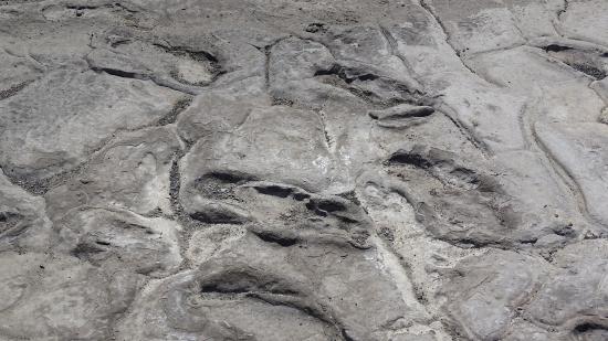 Tìm thấy 400 dấu chân người nguyên vẹn 19.000 năm trước - 2