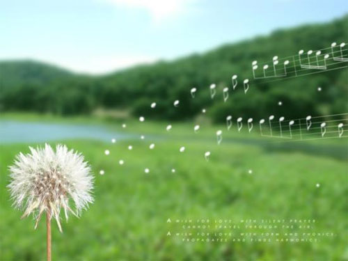 Qua rồi phải không em?, Tình yêu - Giới tính, Bạn trẻ - Cuộc sống, 
