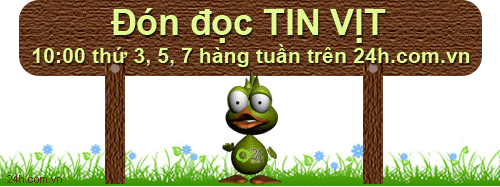 Tin vịt: Người yêu và... cái vòi, Cười 24H, tin vịt, tình yêu, online
